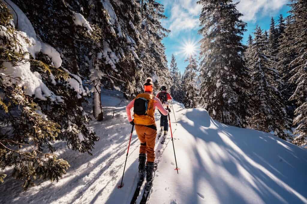 Two skiers head down a sunny backwoods trail at a ski area on a very sunny day with bluebird skis. The evergreens on either side are dusted with snow.