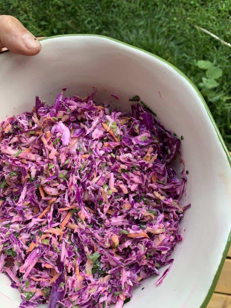 My hand holding a large bowl of freshly made coleslaw, a vibrant mix of shredded purple cabbage and carrots, offering a healthy, colorful addition to a meal with a lush green lawn in the background.