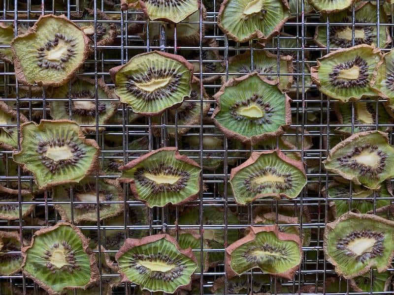 Dried kiwis on dehydrator tray are quite beautiful.