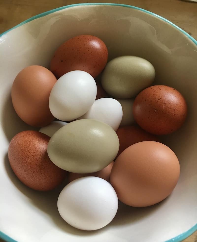 Fresh organic eggs such as these from our backyard hens are always available to use in recipes.