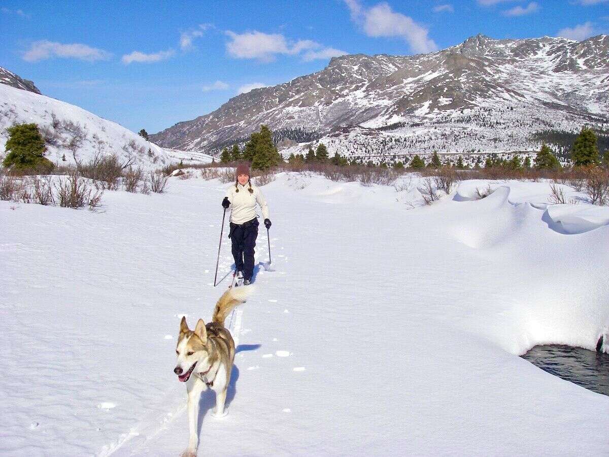 Skiing with my husky in Denali National Park is a perk to living in Alaska.