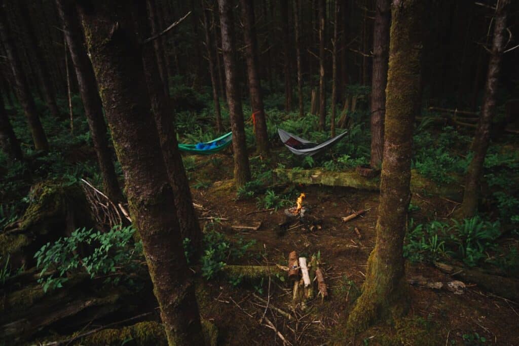 Hammock camping is a fun minimalist style of camping that only requires two trees for set up!