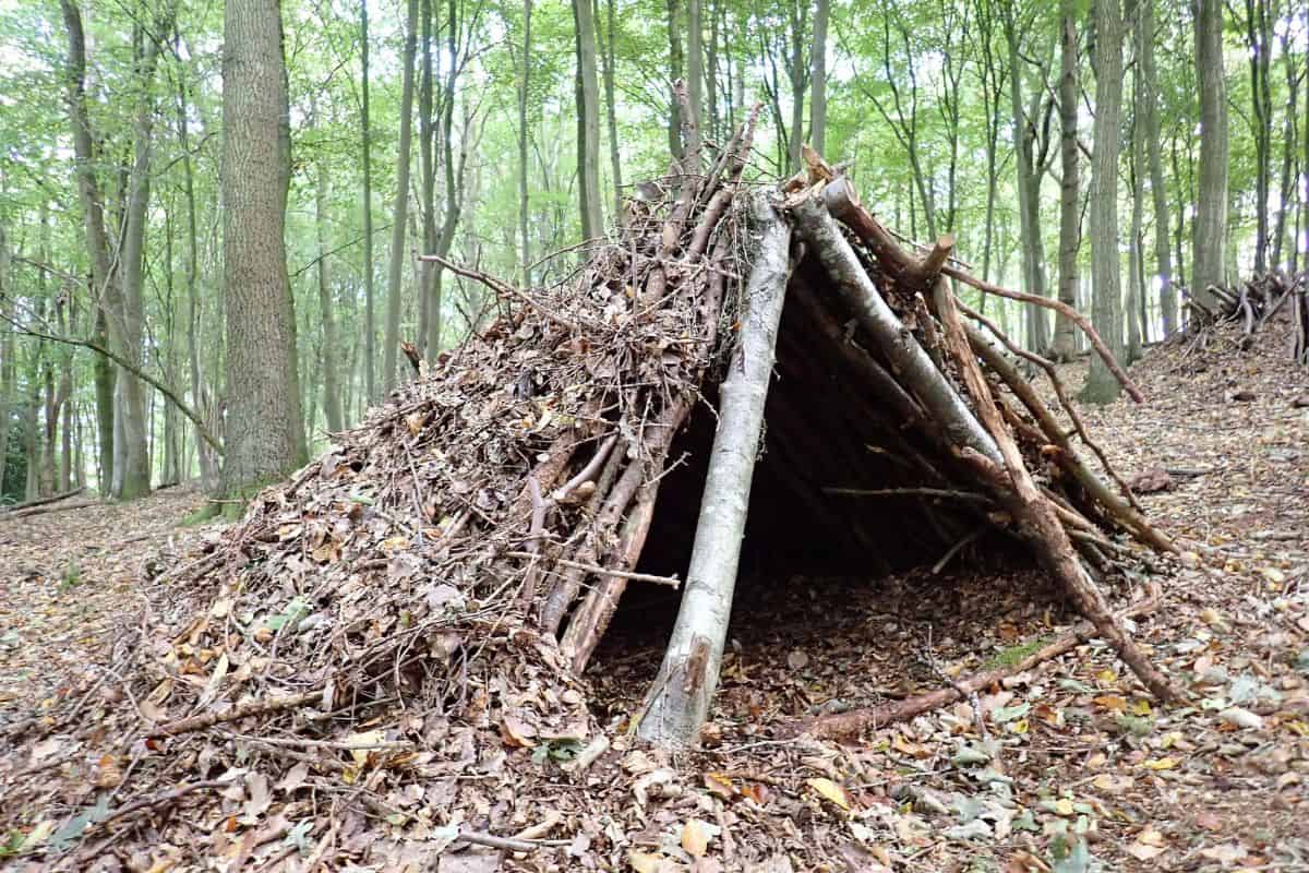 21 Different Types of Camping for Outdoor Enthusiasts [2023]