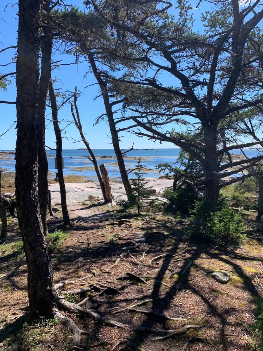The view looking out at the shore from Little Cape Point Trail is breathtaking and magical.