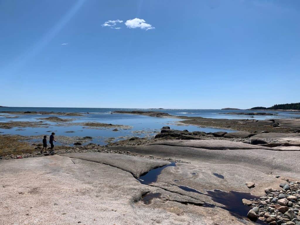 The expansive view from the Shoreline Trail at Great Wass Island Preserve is worth every effort to get there. 