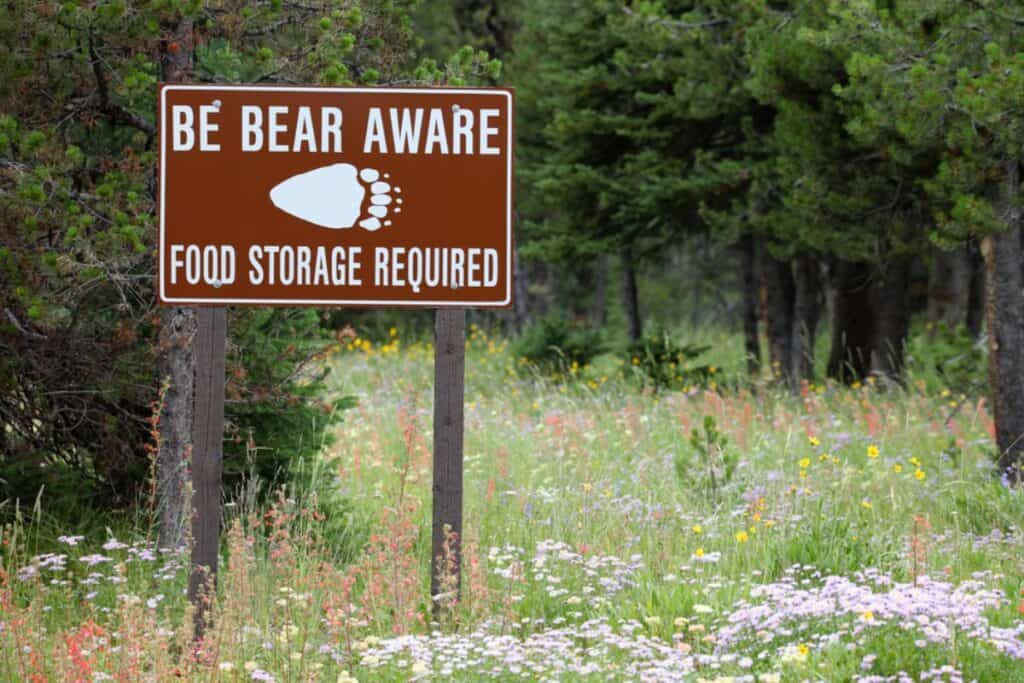Bear container storage is absolutely necessary for your food in bear country!