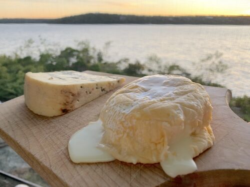 What is the BEST Cheese for Backpacking? [2023]