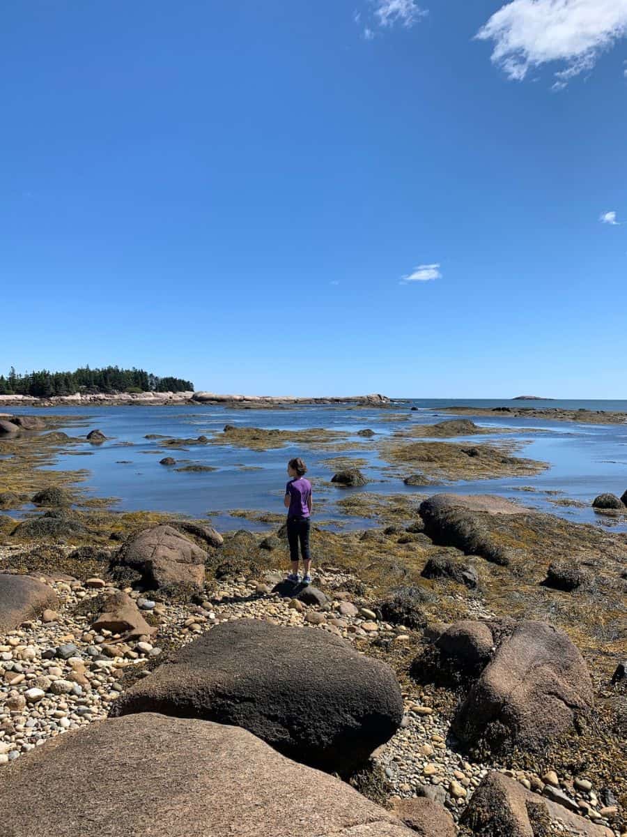 Standing and looking out at where the Bay of Fundy meets the Gulf of Maine is memorable. 
