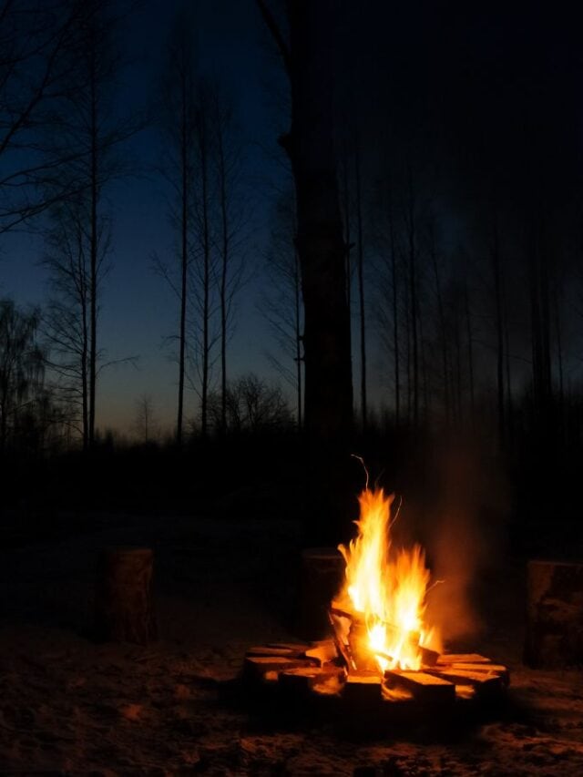 cropped-campfire_camping.jpeg