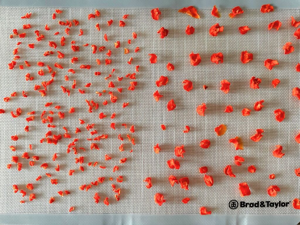 When dehydrating carrots use a fruit leather mat to prevent carrot bits from falling though the screen.