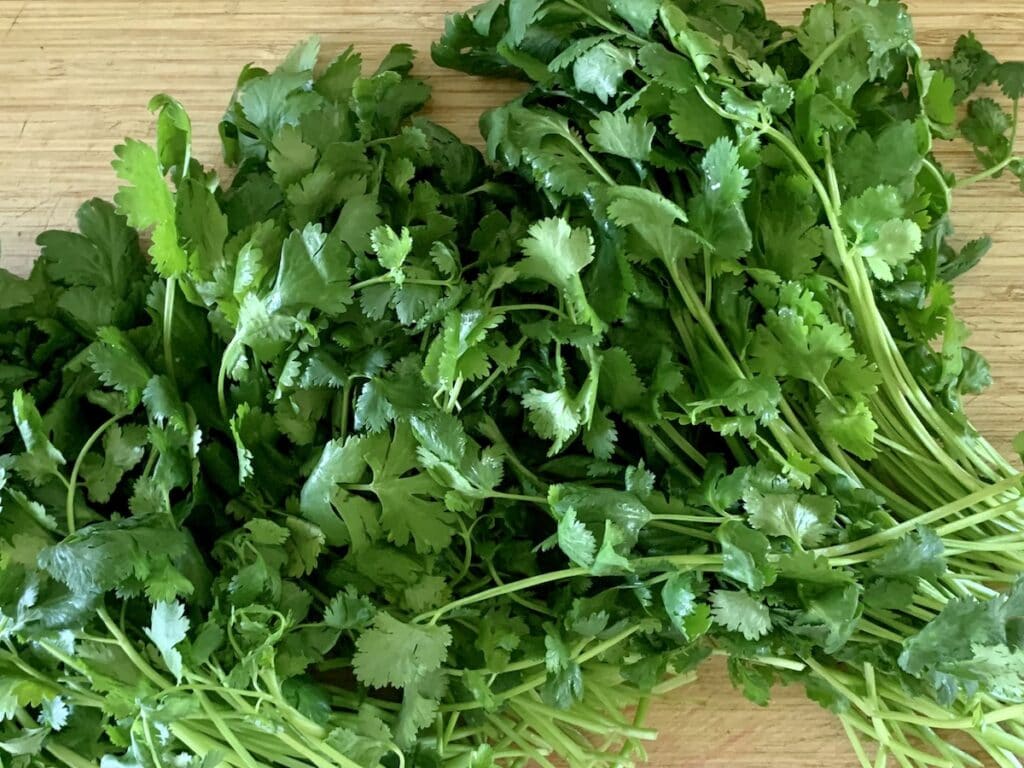 A bunch of fresh cilantro spread out on top of a bamboo cutting board.