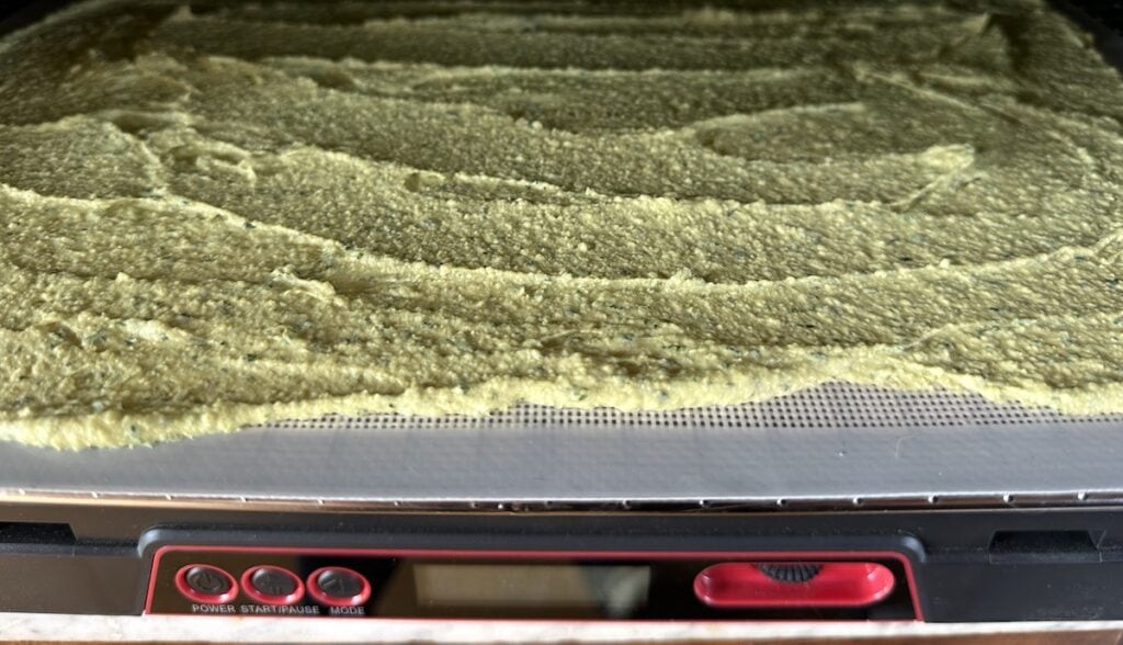 Beautifully green-hued cilantro-lime hummus iready to dehydrate and on the trays of the dehydrator.