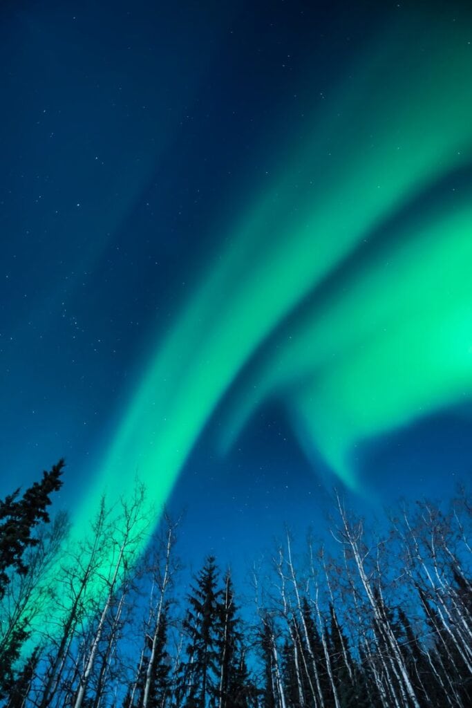 The contrast between the bright blue evening sky and the vibrant green northern lights is beautiful.