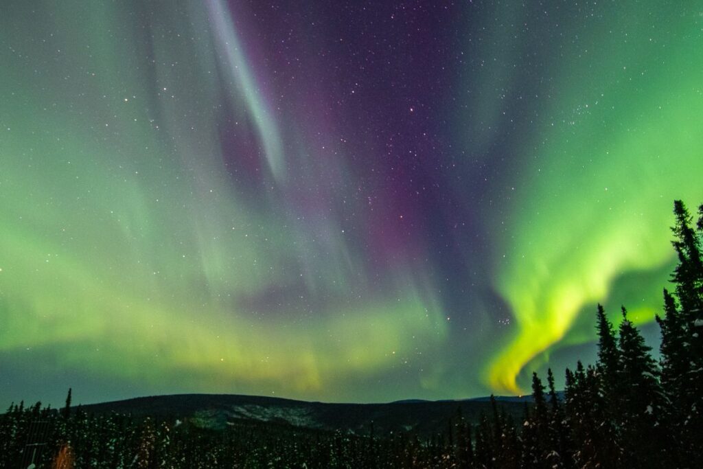 The greens and magenta seen here in the sky during a Fairbanks, Alaska northern lights tour dance and pulsate in the sky like magic.