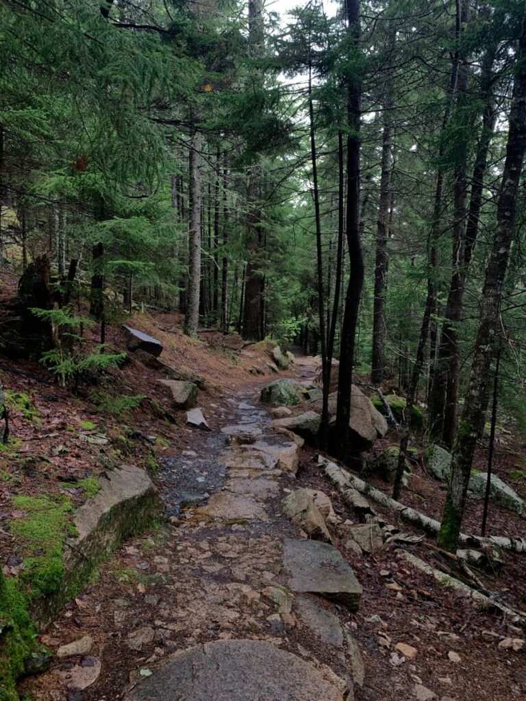 The wooded trails at Acadia National Park are beautiful but the rocks and roots can be slippery if it rains!