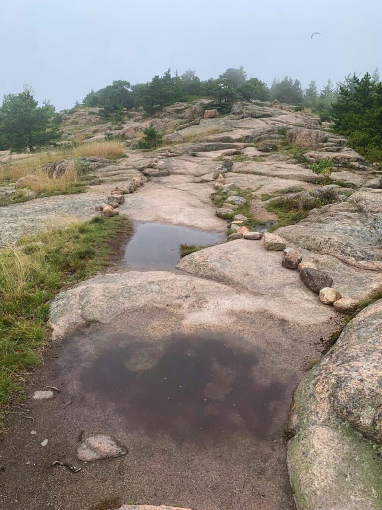 The Gorham Mountain trail has a fun rocky trail that has been smoothed over by foot traffic.