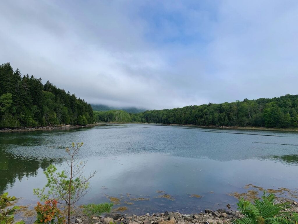 Otter Cove is a beautiful spot on the Ocean Path trail, one of the best hikes in Acadia National Park.