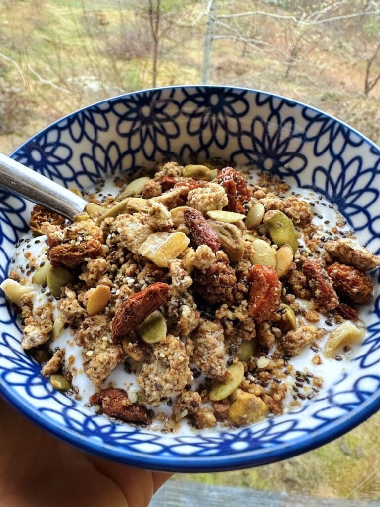 A bowl of homemade granola is an ideal make ahead breakfast for camping!
