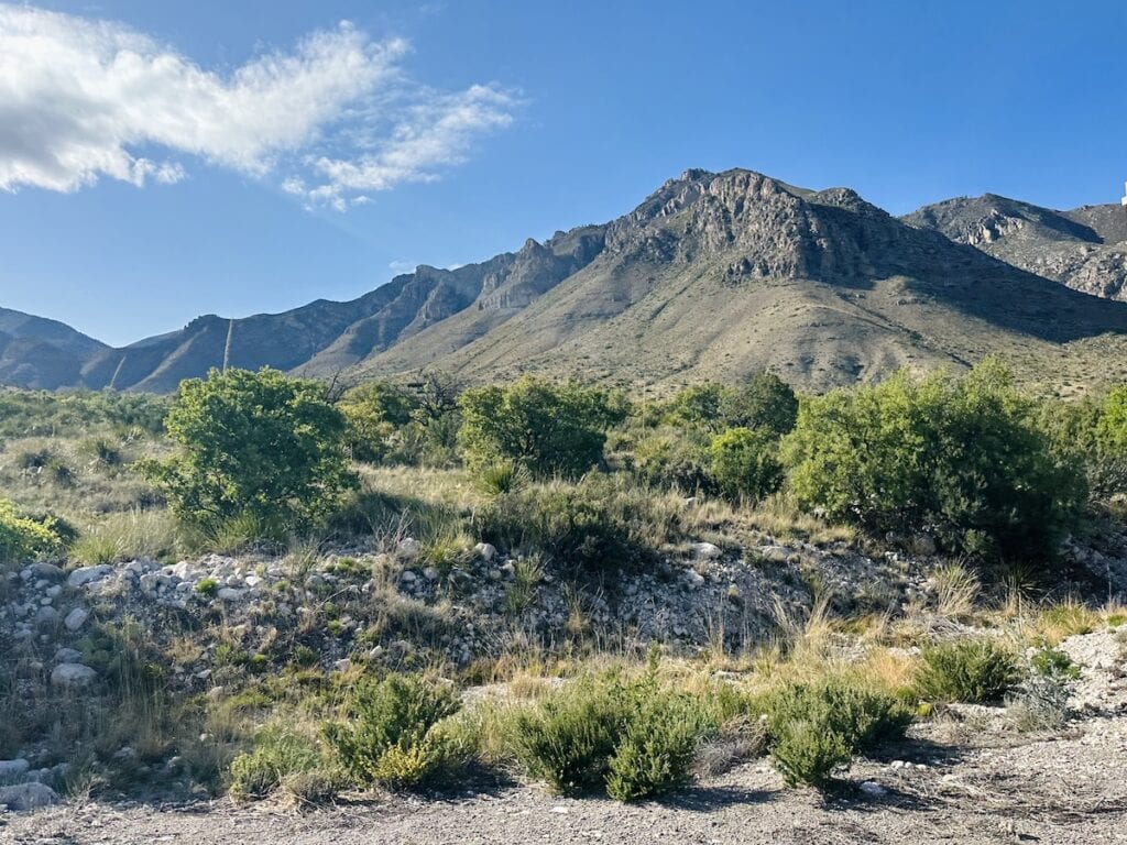 Sunny day view of the Guadalupe Mountains in Texas with clear blue skies, showcasing a rugged landscape with green shrubbery and scattered rocks in the foreground.
