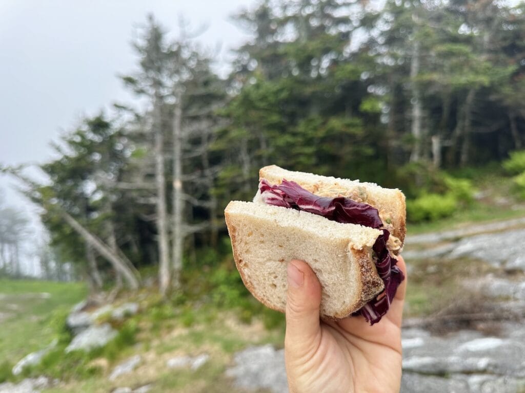 This smoked salmon sandwich recipe is unique because it uses radicchio in place of lettuce.