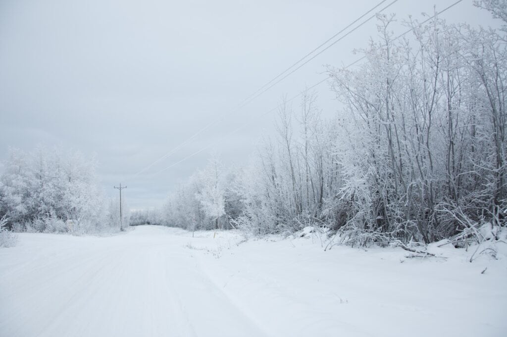 A view of typical drive home in November on Murphy Dome Road in Fairbanks, Alaska. The edges of the road are barely visible and tree branches are covered in icy snow. The scene is mostly white and gray.