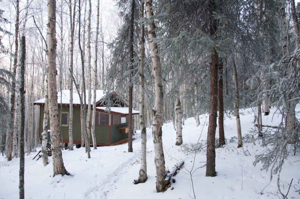 Our cozy cabin tucked away in a serene snowy forest in Fairbanks, with birch and spruce trees lightly frosted with snow, offering a peaceful retreat in the Alaskan wilderness.