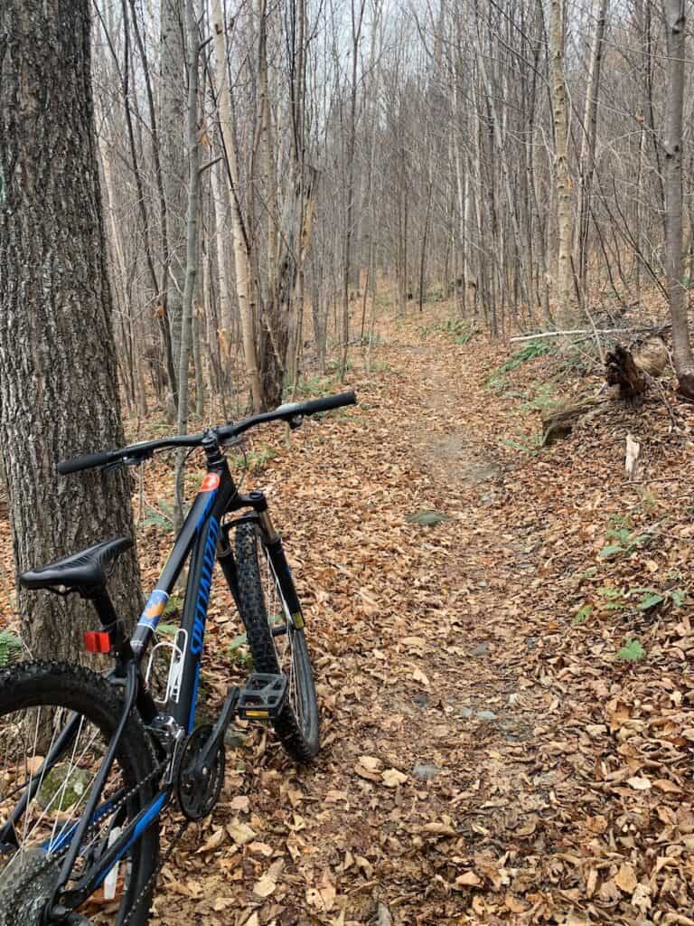 A black and blue Specialized mountain bike leans against a tree on a brown leaf-covered trail in Vermont during stick season.