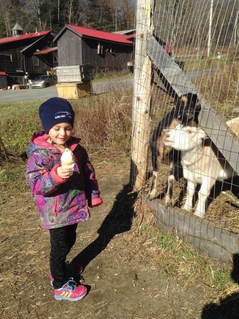 My daughter, Lucy, enjoys a Maple Creemee whole hanging out near the goats at Bragg Farm. She is wearing a winter hat and coat because it is pretty chilly outside!