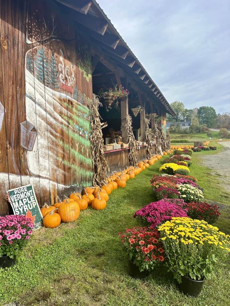 Hartshorns Organic Farm stand is located right in the Mad River Valley of Vermont. There are pumpkins lined out front as well as mums in all colors. Dried corn stalks decorate the wooden farm stand.