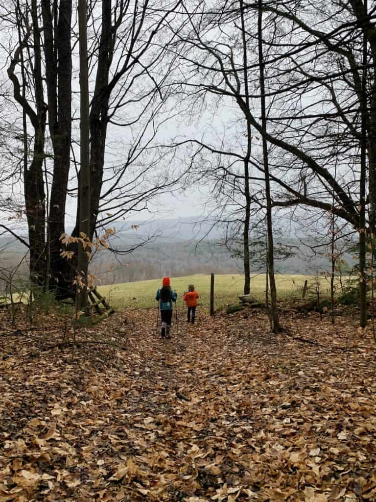Hiking in November in the woods means wearing blaze orange attire to protect yourself in hunting season/ The ground is covered in dry brown leaves and the trees are bare. The field ahead still has hints of green grass.
